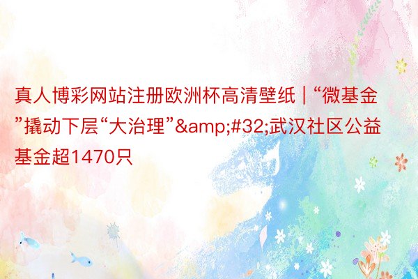 真人博彩网站注册欧洲杯高清壁纸 | “微基金”撬动下层“大治理”&#32;武汉社区公益基金超1470只